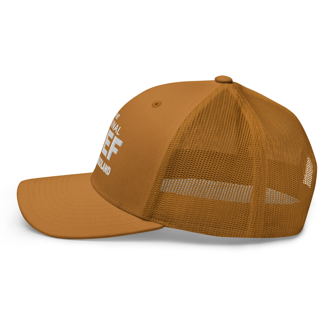 Brown mesh back cap featuring The Bear TV Series graphic for fans and collectors